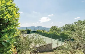 Paucca 1 - Image 5