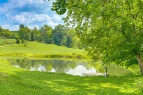 NOUVEAU! Rogersville Appartement sur 27 acres w / Pond! - Image 4