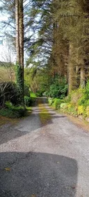 Barnesmore Cottage with views Dog Friendly - Image 2