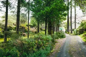 Barnesmore Cottage with views Dog Friendly - Image 3