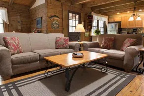 SG18- Private, Log Home! Hot Tub! Dolly Sods Access! Pets ok! - Image 5