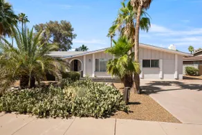 Loma Vista - Amazing Backyard Pool & Fire Pit - Image 4