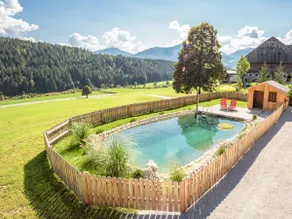 Chalet Grimmingblickhütte by Interhome - Image 3