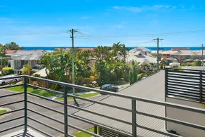 Pandanus - Lennox Head - Image 2
