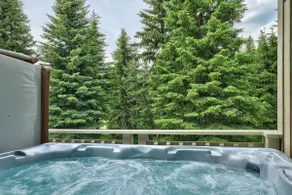 Welcome to The Evergreen - Image 4