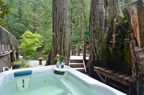 Sequoia Beach Dreamery - Image 2