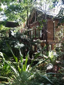 Treehouse - Image 5