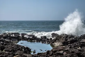 Ocean View! Dog Friendly! Yachats! ~Summershore - Image 4