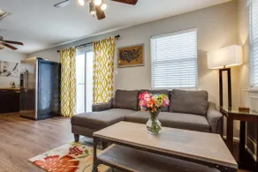 *Sunny Door* Cozy Guesthouse in Great Neighborhood - Image 3