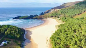 The Cliffs - Bannanas Longboard - Image 2