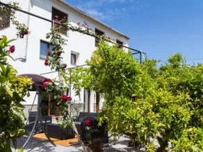 Bright house with terrace and orange garden - Image 2