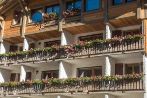 Superbe appartement premium 42 m² Vosges terrasse wifi vue montagne - Image 2