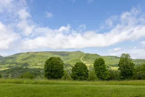 Studio with WOW mtn views / Stargaze, Hike, Relax - Image 3