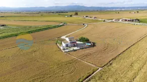 Illa - Country house in the heart of the Delta - Image 3