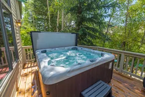 Wildwood Chalet - Image 4