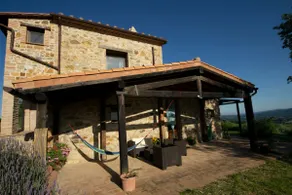 The Almond Tree - Image 5