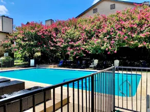 Lovely South Austin Condo. All Essentials Included - Image 3