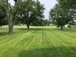 4BR/3BA on 2 acres, Sleeps 10, Pet Friendly - Image 5