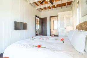 Athena`s House & Mistico Beach Club + Boat Shuttle - Image 3
