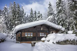 Puutz vacation hut - Image 3