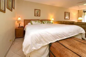 #1 Kaanapali Beach, Great Value J216 - Image 4