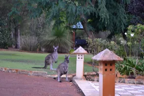 Our Home—At Yallingup Sanctuary - Image 4