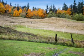 1910 Vintage Ranch House with beautiful views - Image 3