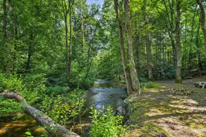 5 Acres, Backyard Creek! Cabin in Tellico Plains - Image 3