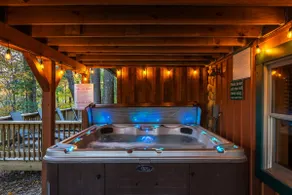 Hummingbird Cabin with Indoor Saltwater Pool - Image 2