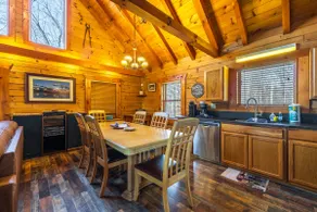 Hummingbird Cabin with Indoor Saltwater Pool - Image 5