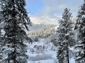 Alpine Lodge - Construit en 2018 sur 10 Mt. Voir les acres - Image 4