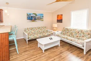 Tortue de mer - Grand format vivant dans notre parc Tiny House - WiFi gratuit - Image 4