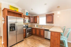 Tortue de mer - Grand format vivant dans notre parc Tiny House - WiFi gratuit - Image 3
