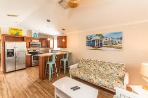 Tortue de mer - Grand format vivant dans notre parc Tiny House - WiFi gratuit - Image 2