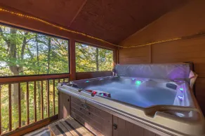 Bluebird Cabin (Hocking Hills area) - Image 2