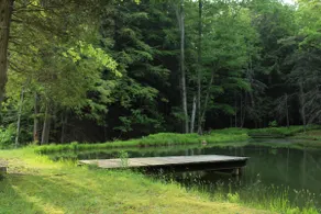 Spring Vacation* Fire Pit, Grill, Hiking - Image 5