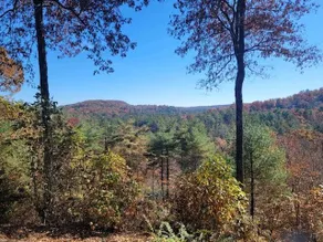 Hermitage, Screened Deck & Fire-pit, Stunning View - Image 3