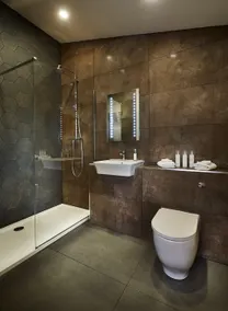 Deluxe Cabin-Private Bathroom with Shower-Vi - Image 5