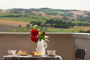 La Collina degli Olivi Agritourism - Image 4