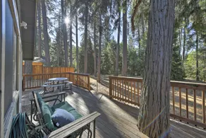 Cabin in Nat'l Forest 35 Min to Boreal Resort - Image 2