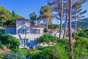 The Red Mullet House - Image 5