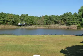 Lake Cottage - Boat Launch & Water Access - Image 2