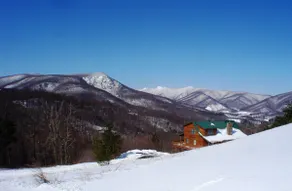 REST ASSURED-3 LEVEL LOG HOME W / MTN VISNINGER, POOL TABEL, WiFi & HOT TUB! - Image 2