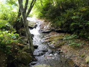 Cool Mountain Days Are Calling 3br2ba Creekfront N - Image 2