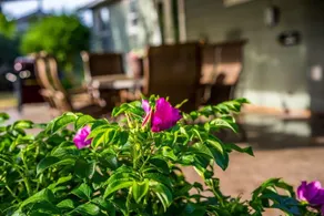 HUGE Fenced Backyard. Luxe Bath. 15 Min 2 Downtown - Image 3