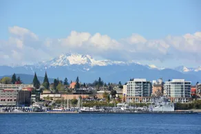 Direct Ferry to DT Seattle/World Cup.Pet-Friendly - Image 3