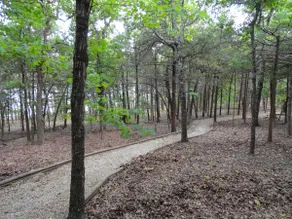 Uncle Arnie-Lakefront-Easy Path to Lake-Swim Pool - Image 4