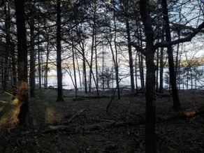 Uncle Arnie-Lakefront-Easy Path to Lake-Swim Pool - Image 3