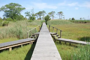 Nature's Retreat- Waterview with Shared Crabbing Pier - Image 2