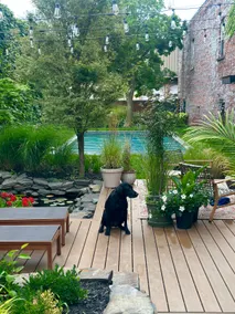 Stunning Bungalo-style Loft in Albany's Warehouse District! - Image 2